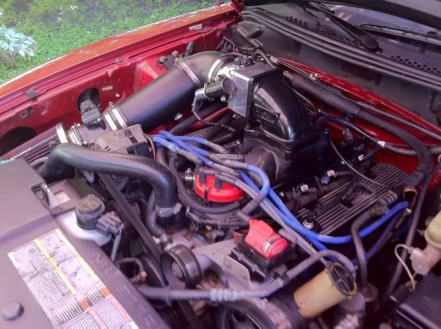 Hello /r/Mustang, figured you might like to see my mustangs : Mustang